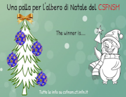 Il vincitore di 