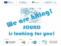 Pubblicato il Bando 03/25 per una Borsa di Ricerca nell'ambito del progetto SOUND