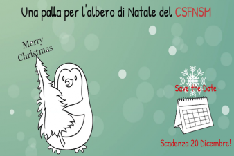Una palla per l'albero di Natale del CSFNSM