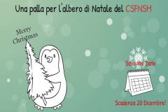 Una palla per l'albero di Natale del CSFNSM