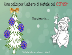 Il vincitore di 
